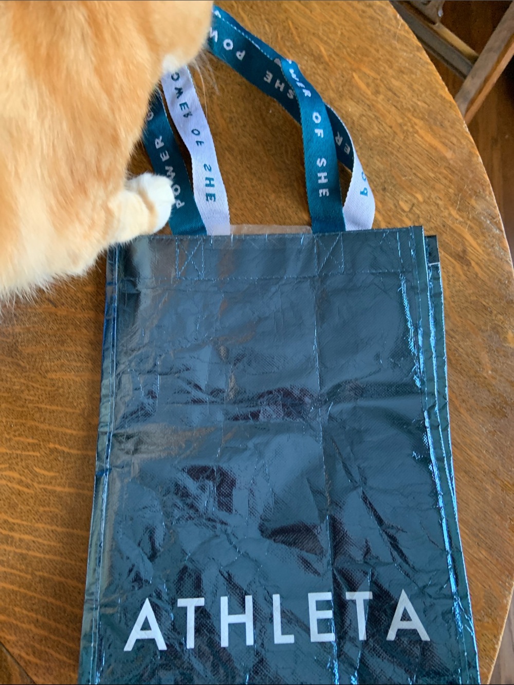 Athleta metallic bag